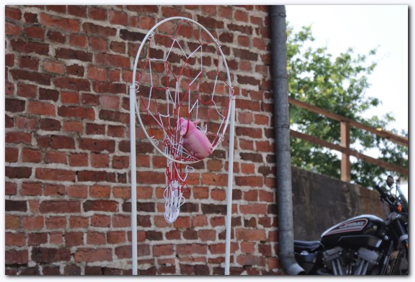 802x537 pixels (78K)